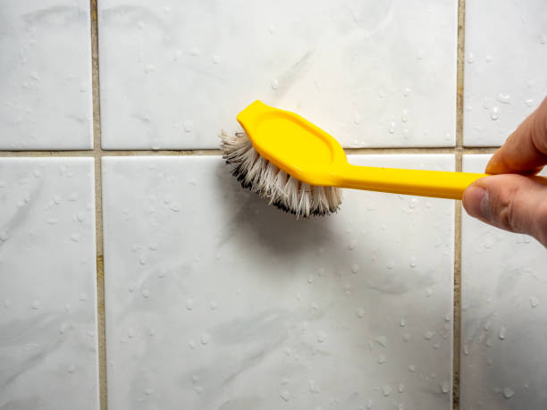 Best Mold Remediation for Specific Building Types in Perry, OH