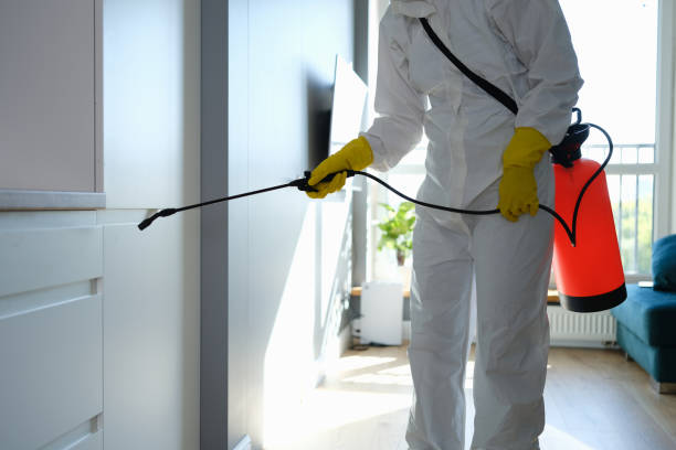 Best Residential Mold Remediation in Perry, OH