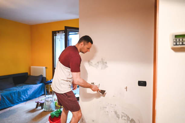 Trusted Perry, OH Mold Remediation Experts